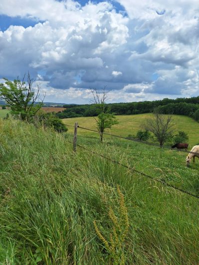 Image No.81-6 Bed House for sale