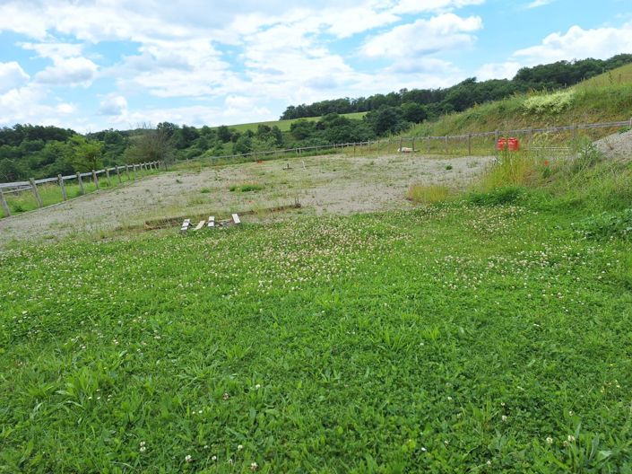 Image No.82-6 Bed House for sale