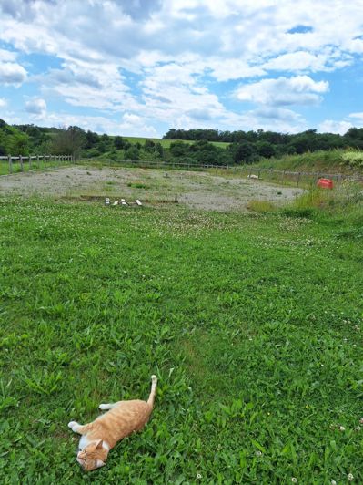 Image No.83-6 Bed House for sale