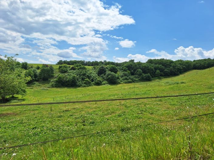 Image No.85-6 Bed House for sale