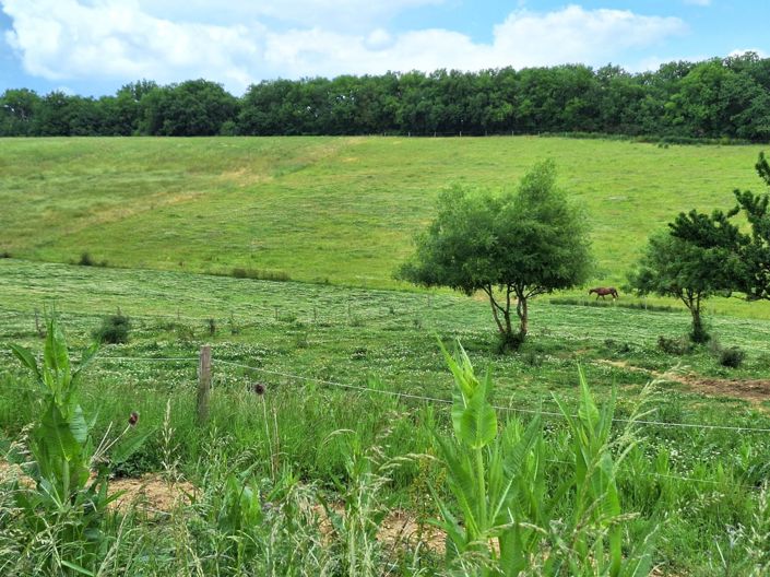 Image No.87-6 Bed House for sale