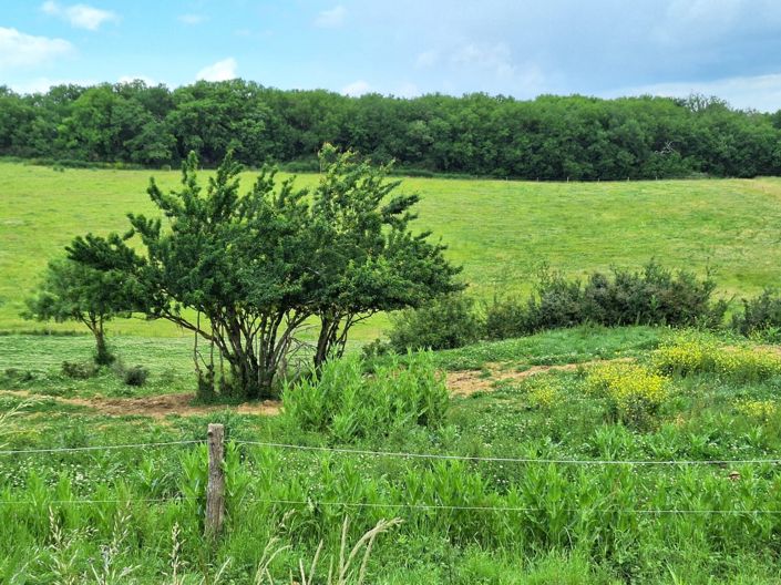 Image No.88-6 Bed House for sale