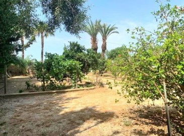 sale-finca-los-alcazares39981lg