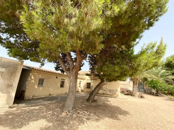 Image No.2-Finca de 3 chambres à vendre à Torre Pacheco Town