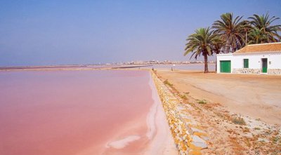 hh28548925-01-image-5