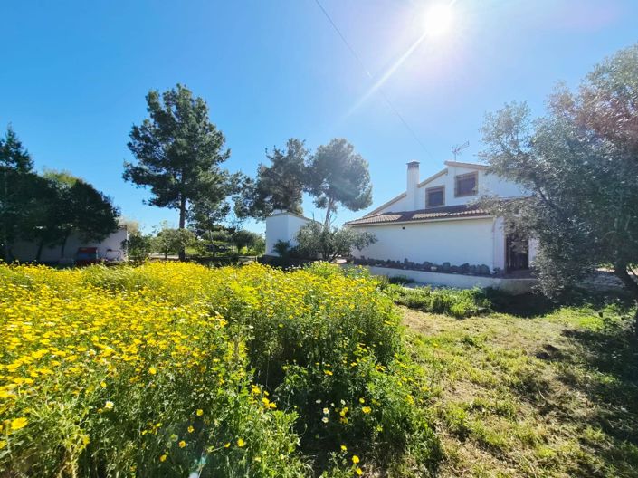 Image No.36-Villa / Détaché de 4 chambres à vendre à Valle Del Sol