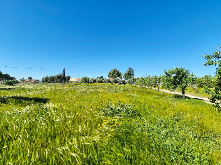 Image No.37-Villa / Détaché de 4 chambres à vendre à Valle Del Sol