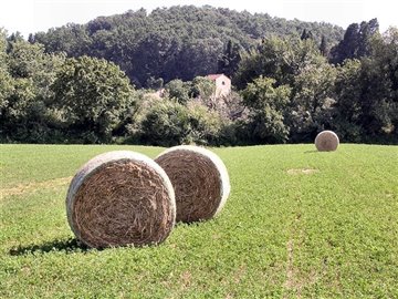 bosco-e-antica-tabaccaia-1200