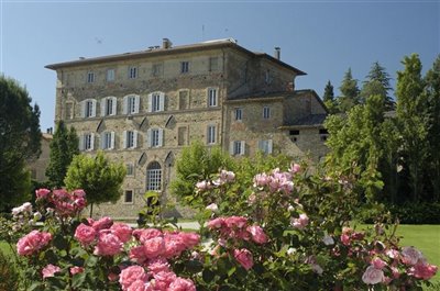 1 - Perugia, Vineyard