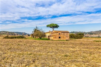 tuscan-renovation-opportunity-10-1200