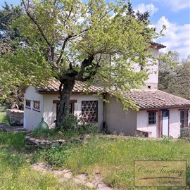restored-farmhouse-and-annex-for-sale-near-mo