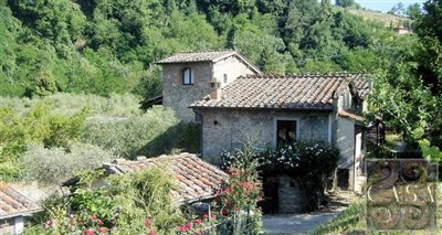 large-farm-with-pool-for-sale-in-tuscany-loro