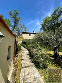 stone-house-with-pool-for-sale-near-cortona-t