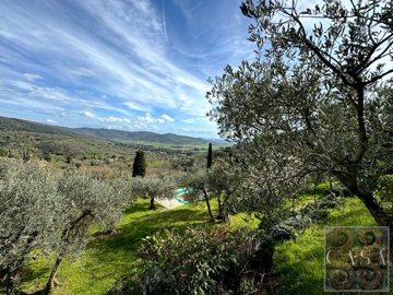 stone-house-with-pool-for-sale-near-cortona-t
