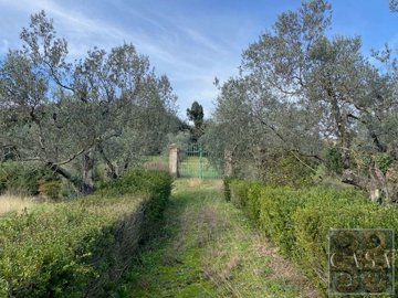 villa-for-sale-near-florence-tuscany-26