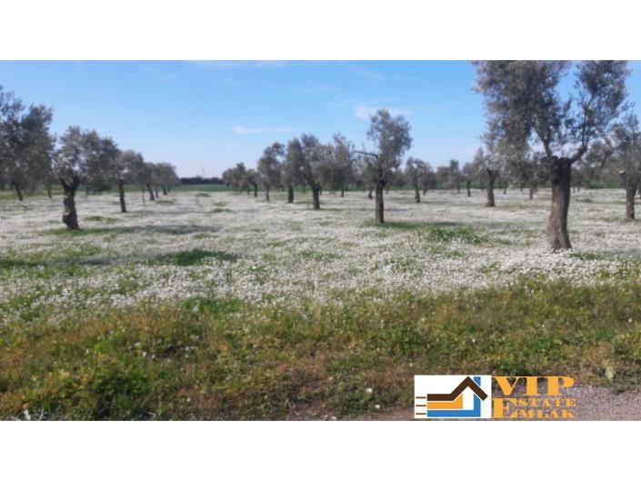 Image No.13-4 Bed Villa / Detached for sale