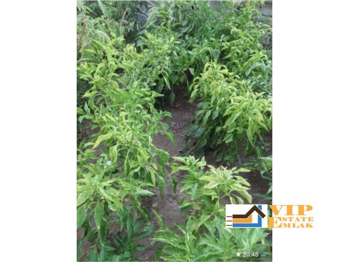 Image No.5-3 Bed Villa for sale