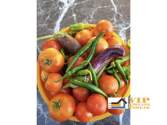 Image No.2-3 Bed Villa for sale