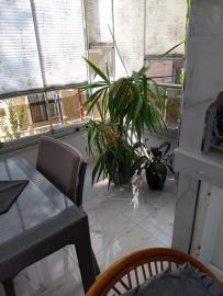 IMG-20250816-WA0050