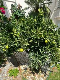 IMG-20251004-WA0011