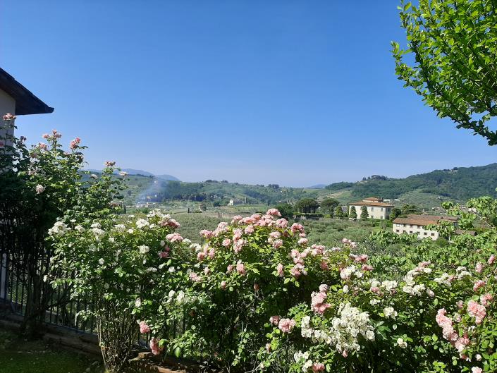 Image No.10-5 Bed Villa / Detached for sale