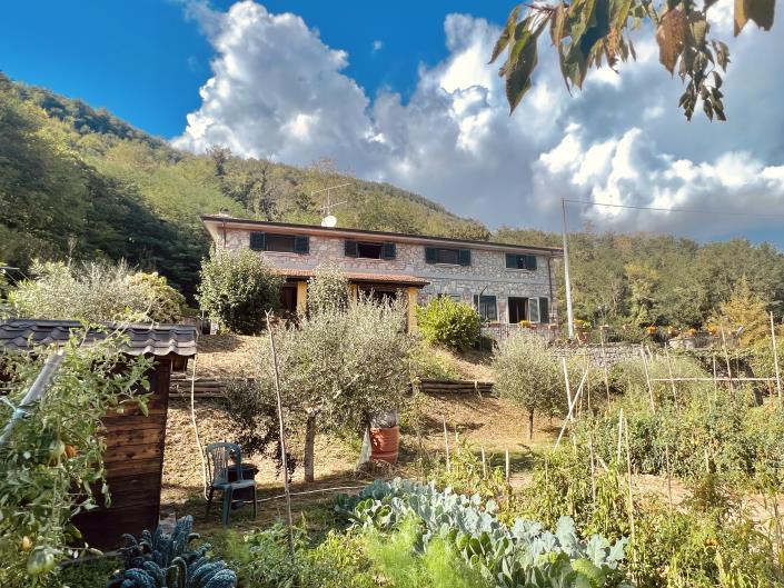 Image No.31-Maison de campagne de 3 chambres à vendre à Bagni di Lucca