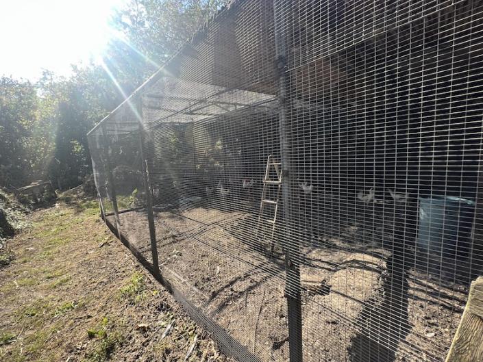 Image No.32-Maison de campagne de 3 chambres à vendre à Bagni di Lucca