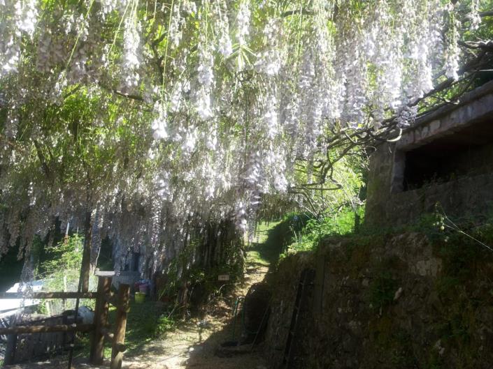 Image No.7-Maison de campagne de 3 chambres à vendre à Bagni di Lucca