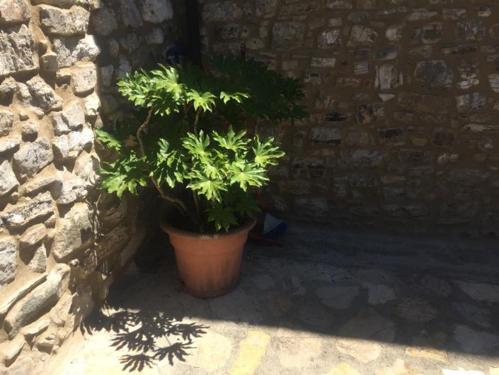 Image No.11-Maison de campagne de 3 chambres à vendre à Bagni di Lucca