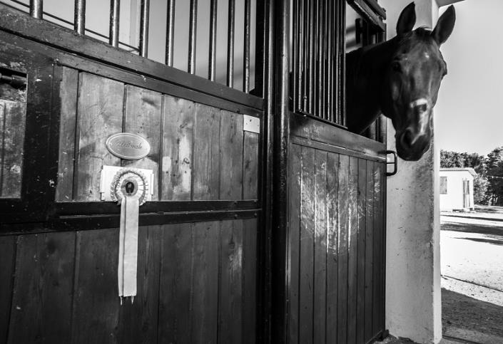 Image No.4-18 Bed Country Property for sale