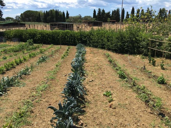 Image No.3-18 Bed Country Property for sale