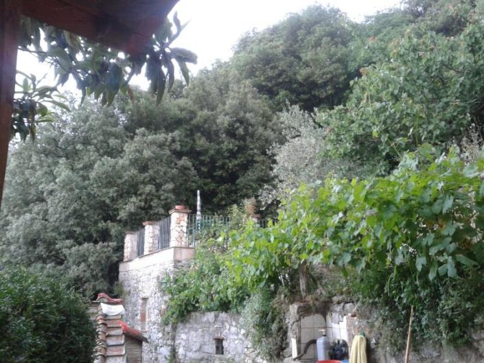 Image No.18-4 Bed Country House for sale