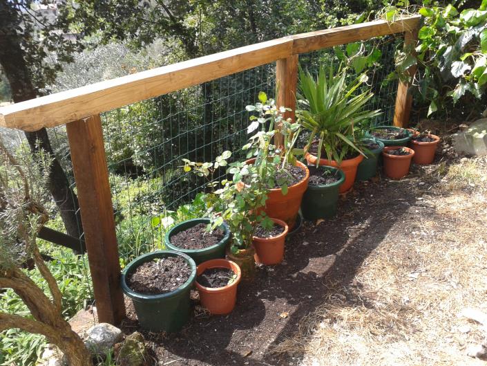 Image No.20-4 Bed Country House for sale