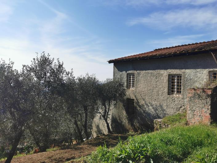 Image No.2-Ferme de 3 chambres à vendre à Lucca
