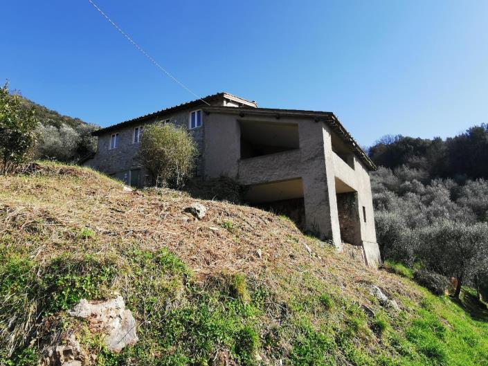 Image No.4-Ferme de 3 chambres à vendre à Lucca