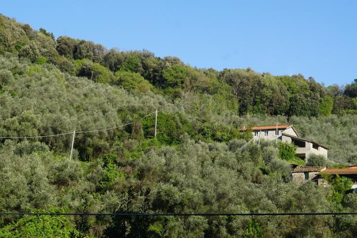 Image No.9-Ferme de 3 chambres à vendre à Lucca