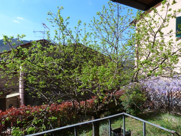 Image No.35-Maison de 2 chambres à vendre à Bagni di Lucca