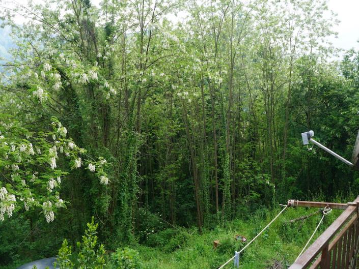 Image No.19-Maison de 5 chambres à vendre à Barga