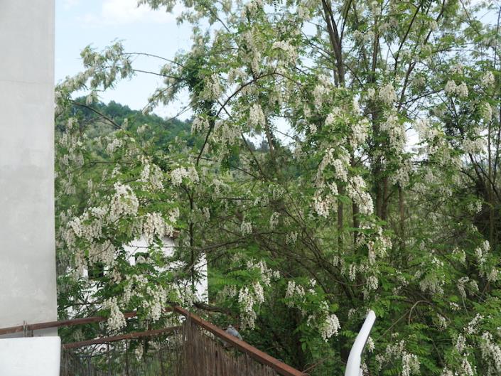 Image No.20-Maison de 5 chambres à vendre à Barga