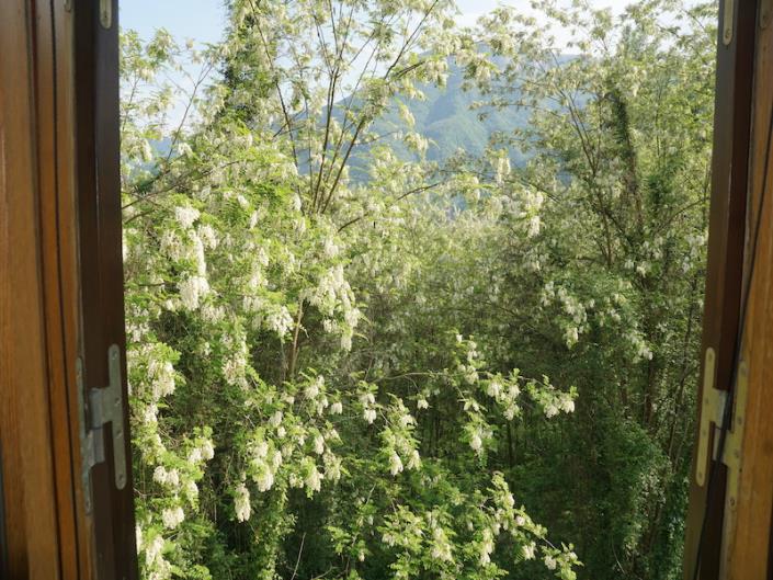 Image No.38-Maison de 5 chambres à vendre à Barga