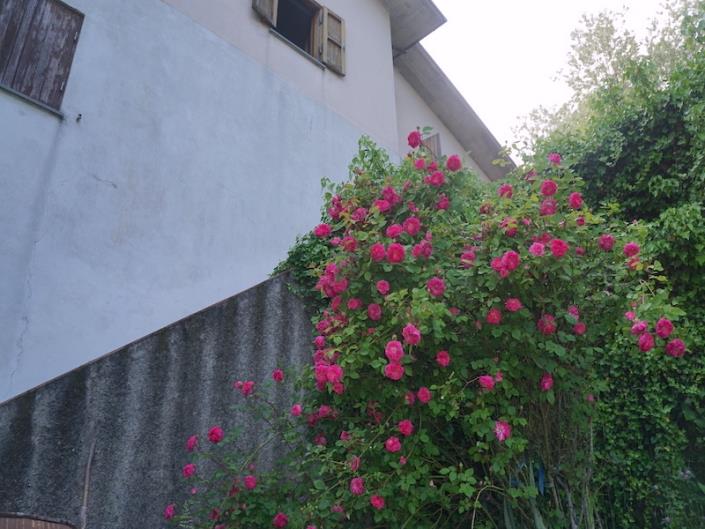 Image No.49-Maison de 5 chambres à vendre à Barga