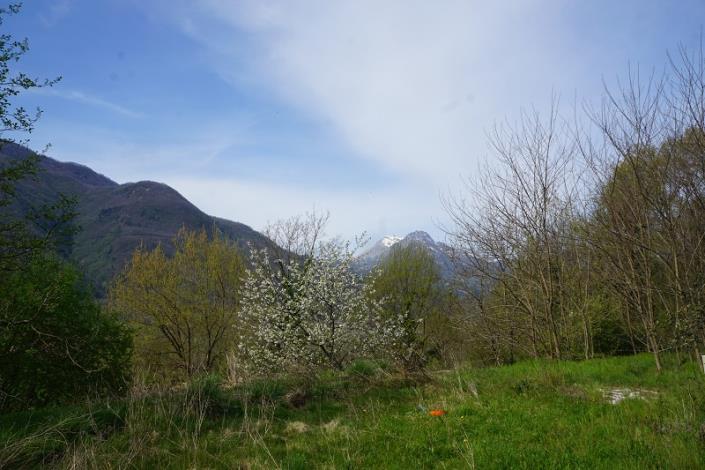 Image No.54-Maison de 5 chambres à vendre à Barga