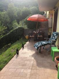 image_6483441--4-