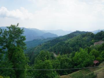 DSC02507