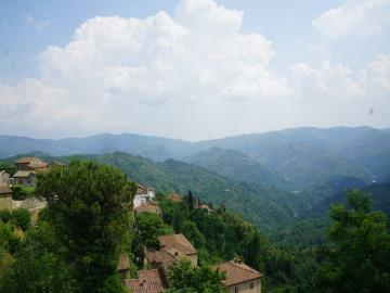 DSC02546