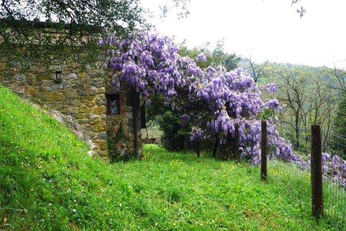 Image No.21-Maison de 4 chambres à vendre à Bagni di Lucca