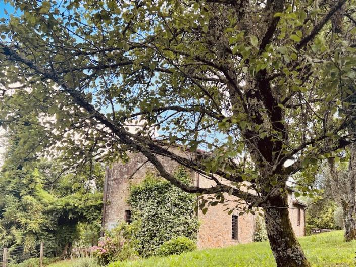 Image No.47-Maison de 4 chambres à vendre à Bagni di Lucca