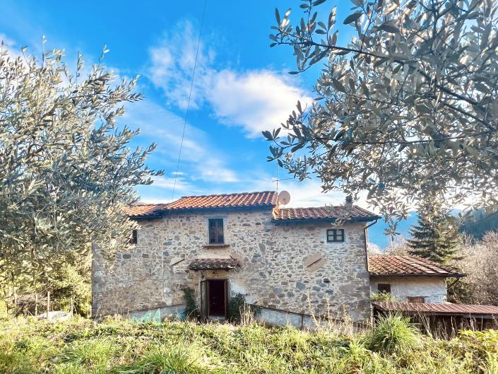 Image No.5-Ferme de 5 chambres à vendre à Bagni di Lucca