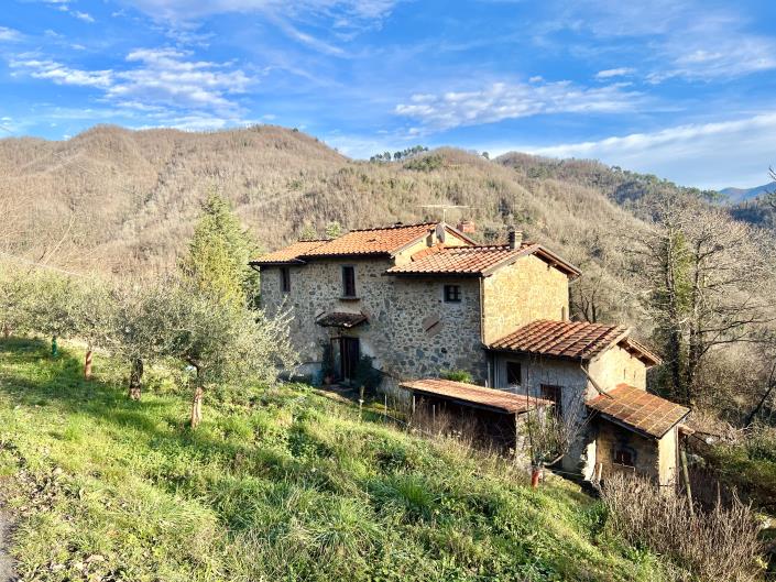 Image No.21-Ferme de 5 chambres à vendre à Bagni di Lucca