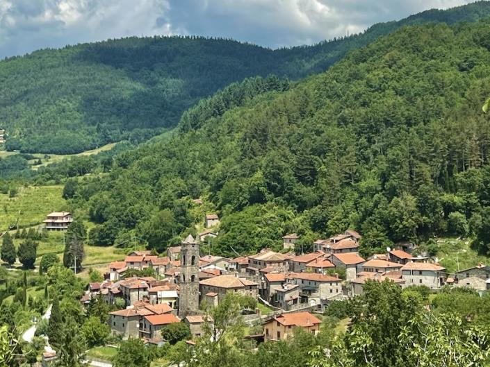Image No.31-Villa / Détaché de 4 chambres à vendre à Minucciano